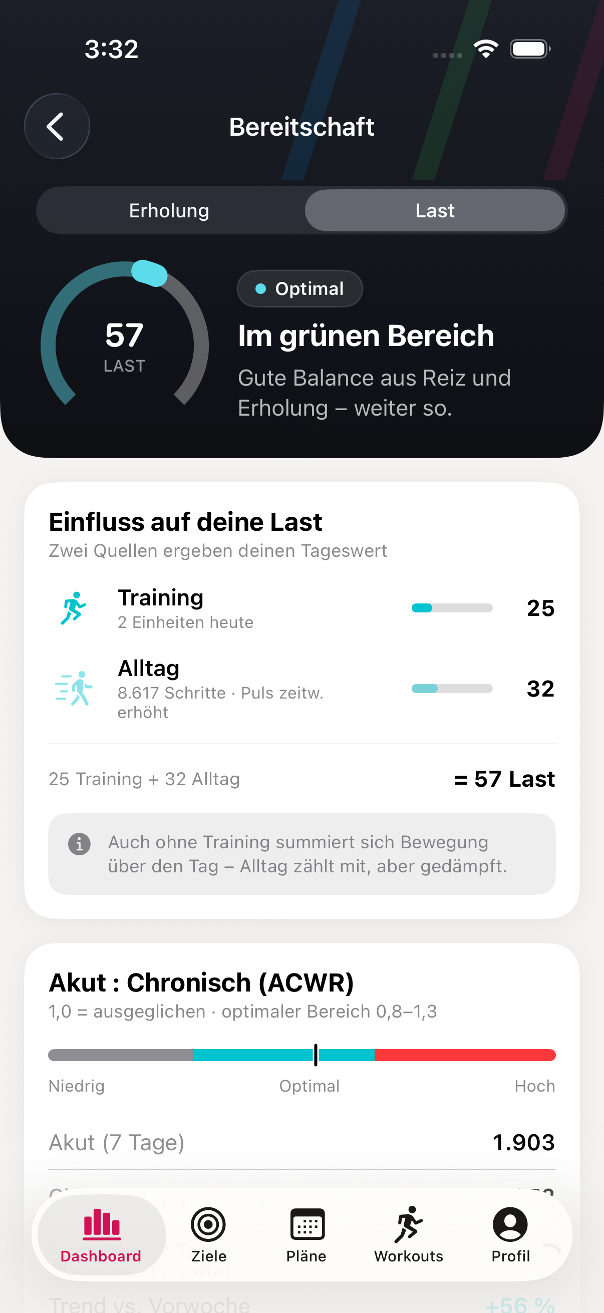 Tageslast-Aufschlüsselung mit Training- und Alltags-Anteil